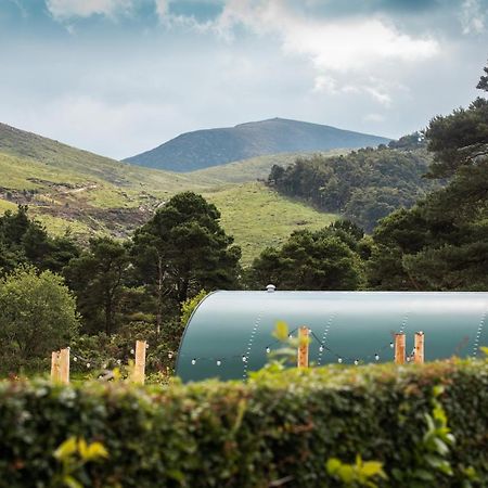 Further Space At Leitrim Lodge Luxury Glamping Pods Mourne Mountains Newcastle  Bagian luar foto